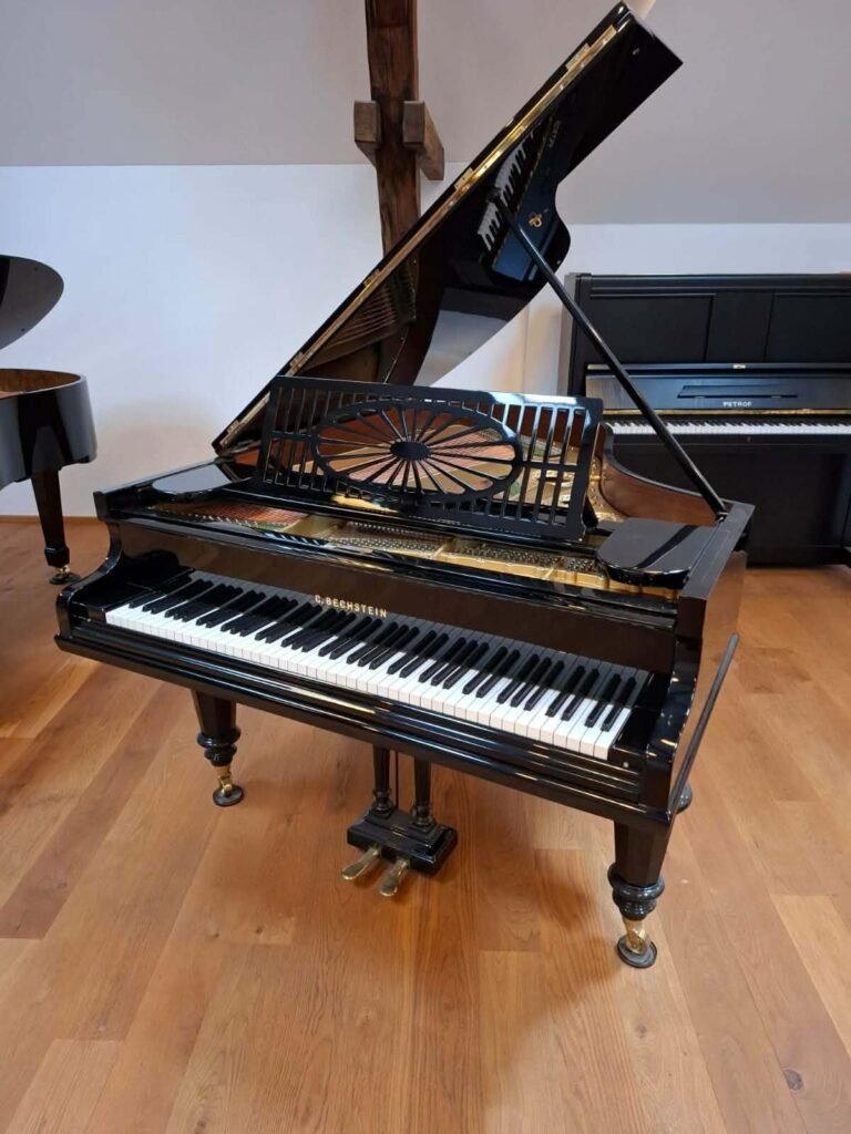 C. BECHSTEIN | MODEL 165