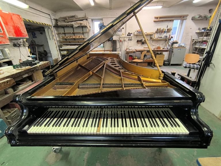 Klavír Bosendorfer 290